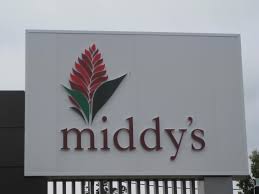 McAdam Siemon Business Accountants Upper Mt Gravatt, Noosa Heads & Maroochydore. Specialising in Accounting, Taxation, Management Rights, SMSF Administration, Business Advisory, Business Valuations. New office